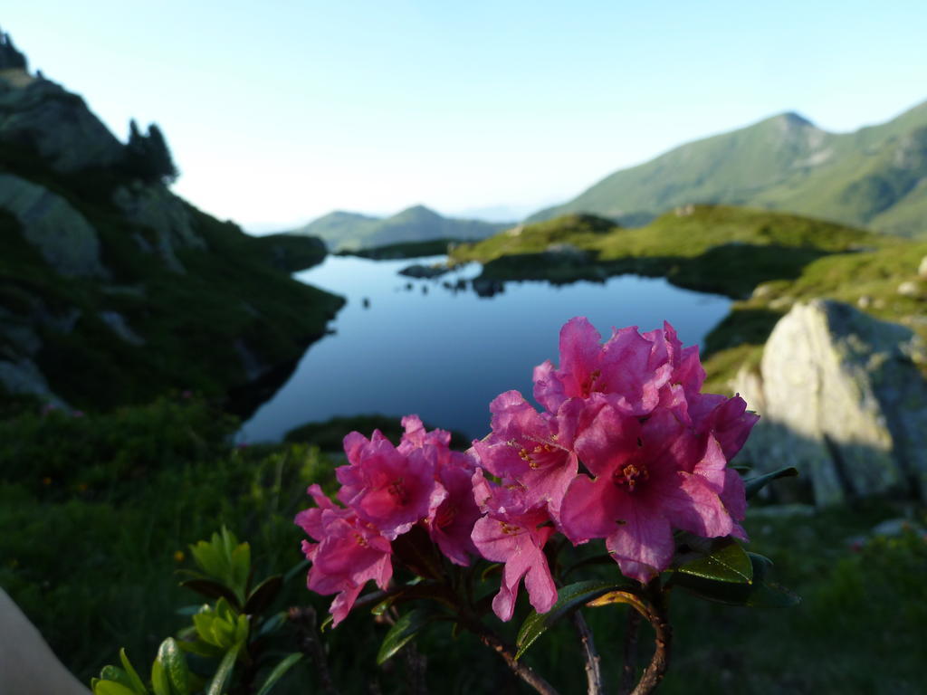 Gaestehaus Gratlspitz อัลพ์บาค ภายนอก รูปภาพ